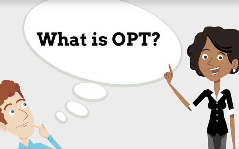 OPT là gì?