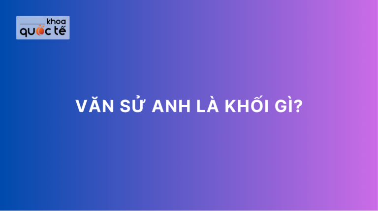 Văn sử anh là khối gì