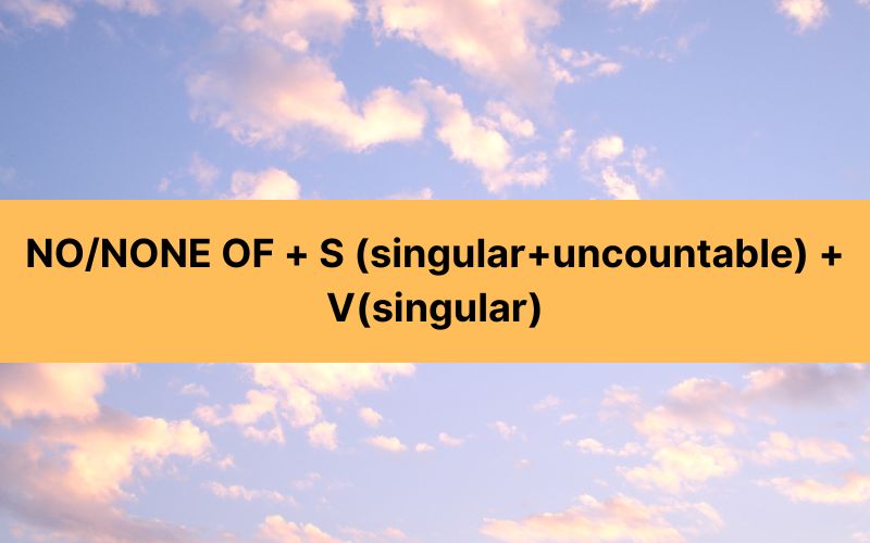 NO/NONE OF + S (singular+uncountable) + V(singular)