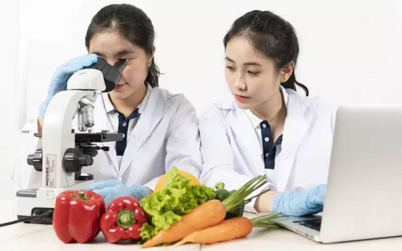 Ngành công nghệ thực phẩm học những môn gì?