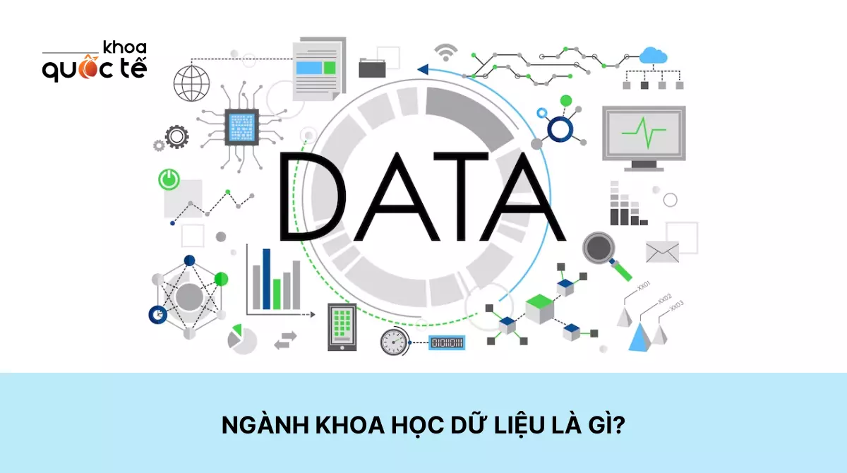 Ngành khoa học dữ liệu là gì?