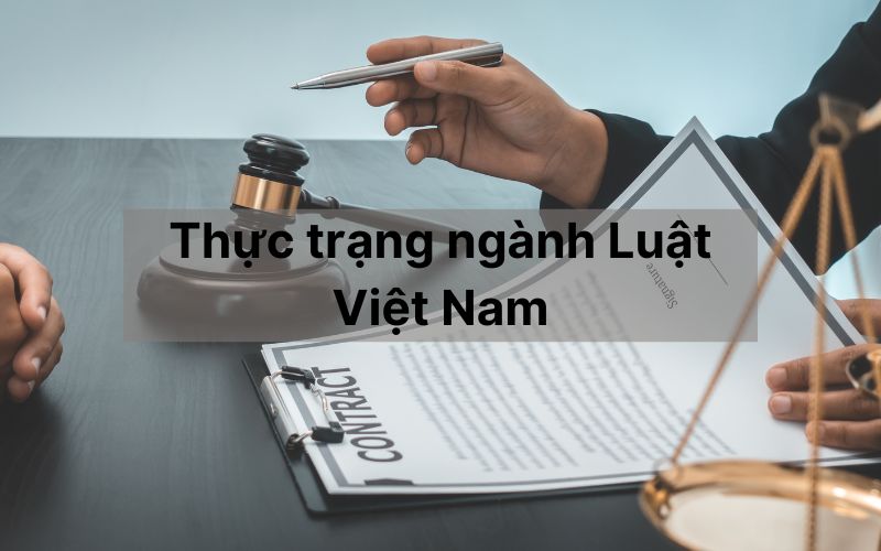 Thực trạng ngành Luật Việt Nam