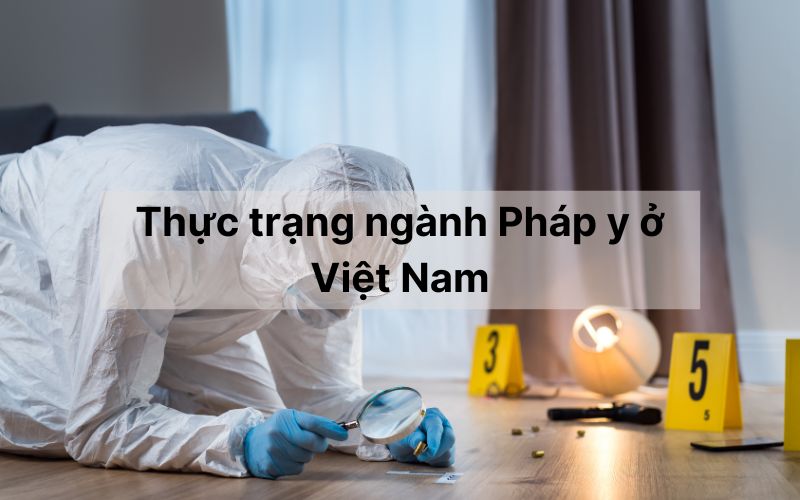 Thực trạng ngành Pháp y ở Việt Nam